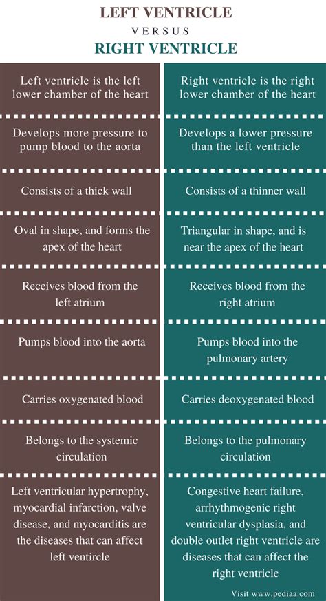 left ventricle vs right.